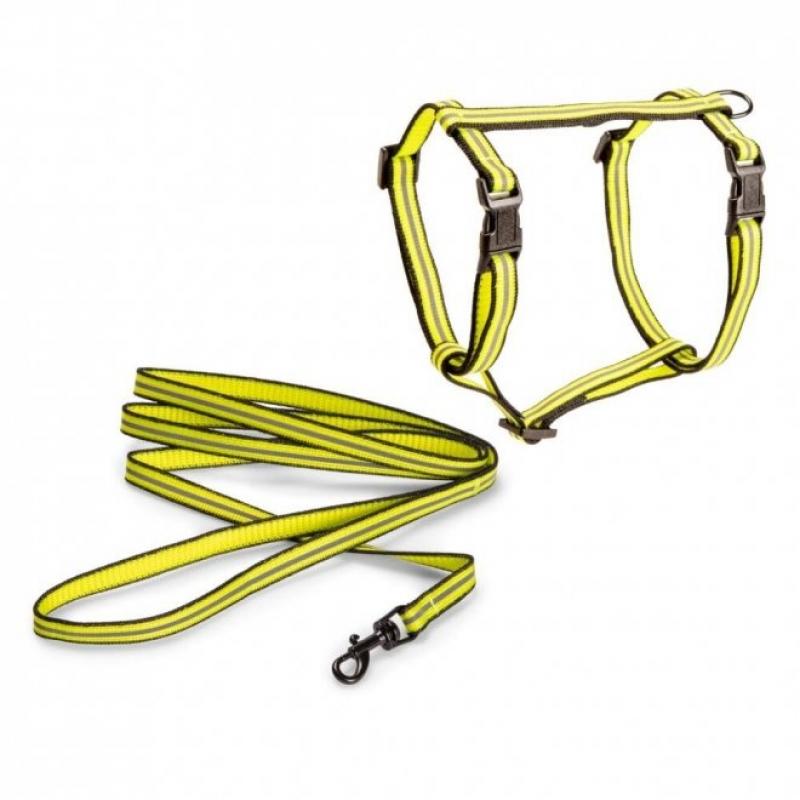 Basic Cat Reflective kattsele och koppel