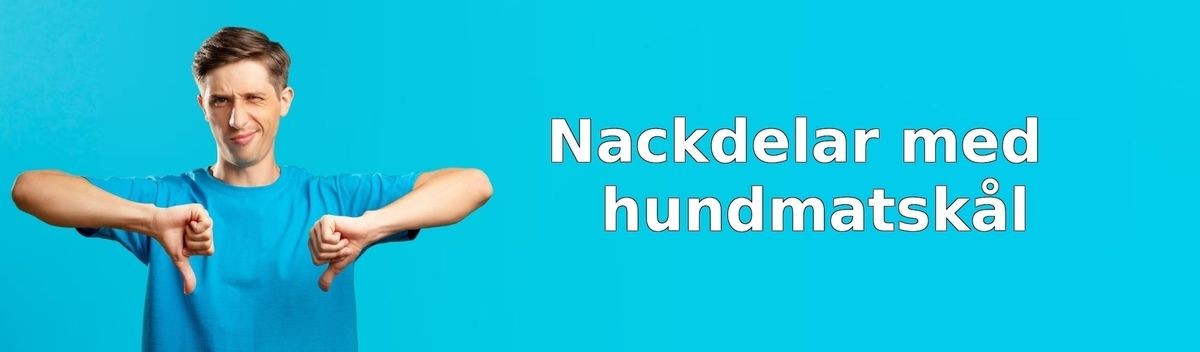 Nackdelar med hundmatskålar