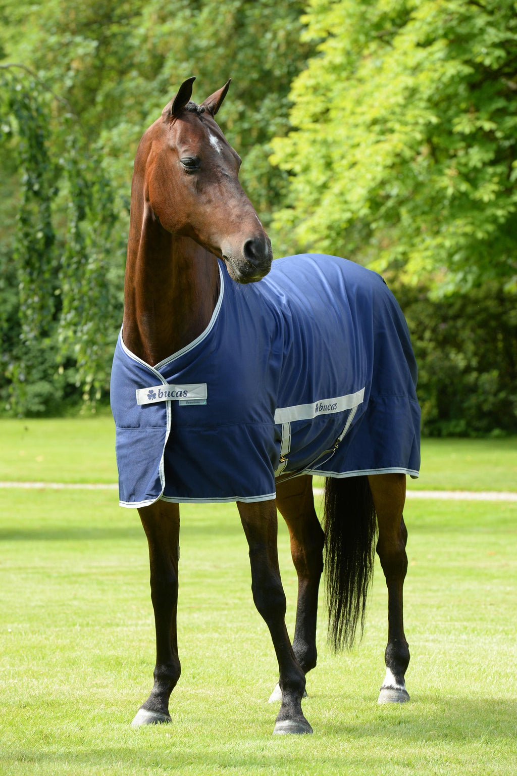 Bucas Freedom Twill 0 g, 145 cm