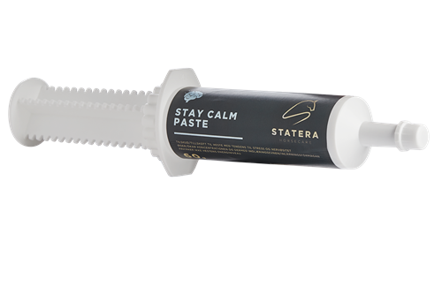 Statera Stay Calm Pasta 60 g