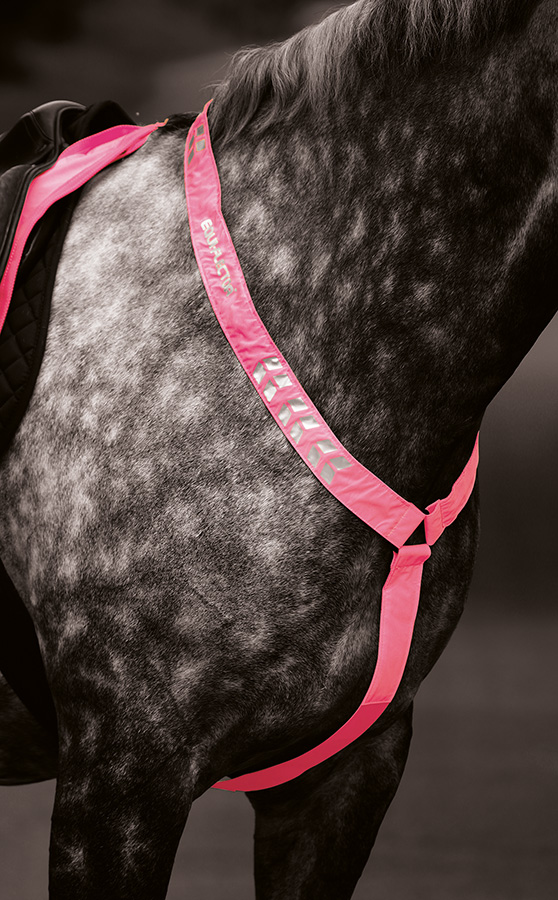Equi-Flector Reflexbrösta, rosa