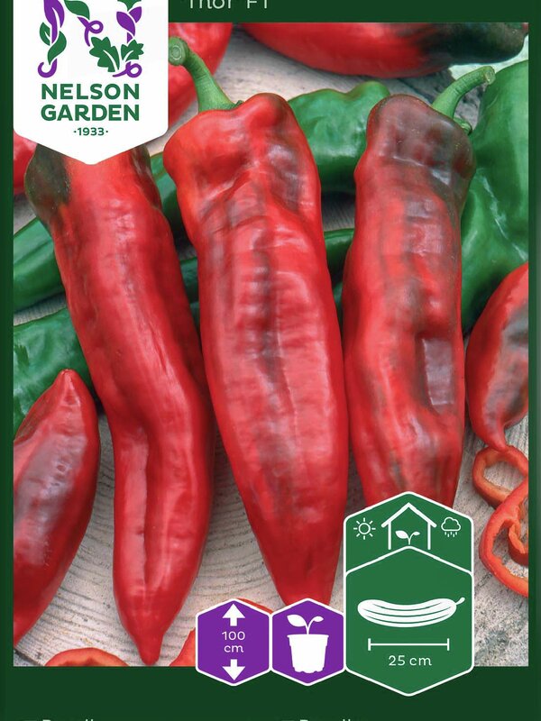 Nelson Garden Paprika Thor F1