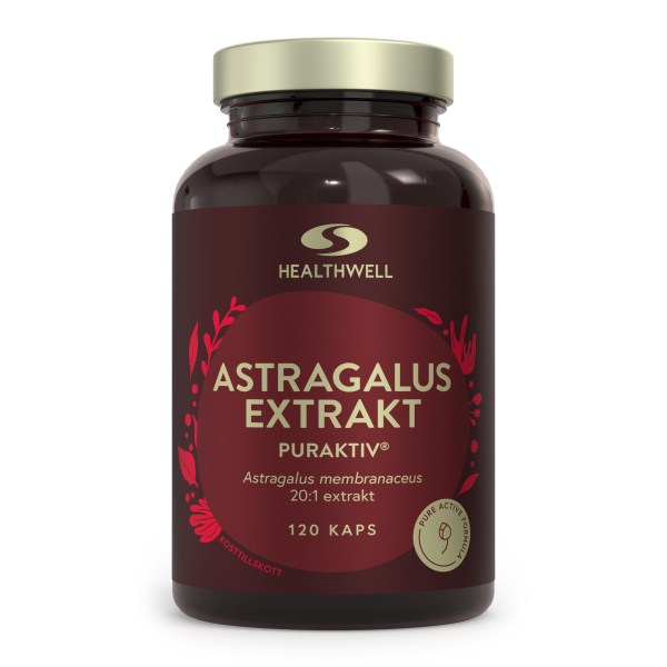 Astragalus