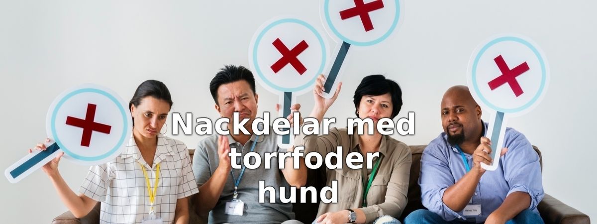 Nackdelar med torrfoder för hund