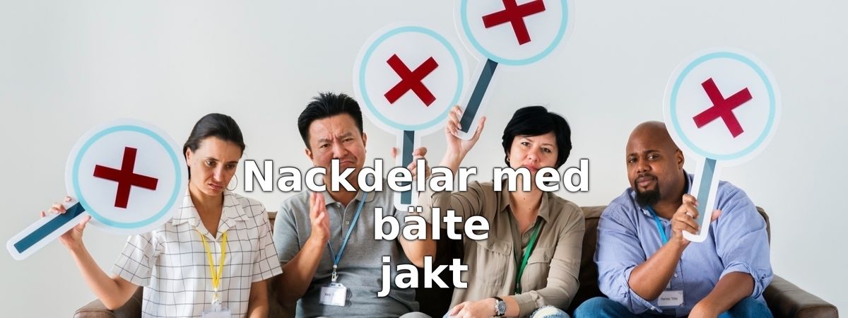 Tänk på detta innan du köper ett jaktbälte