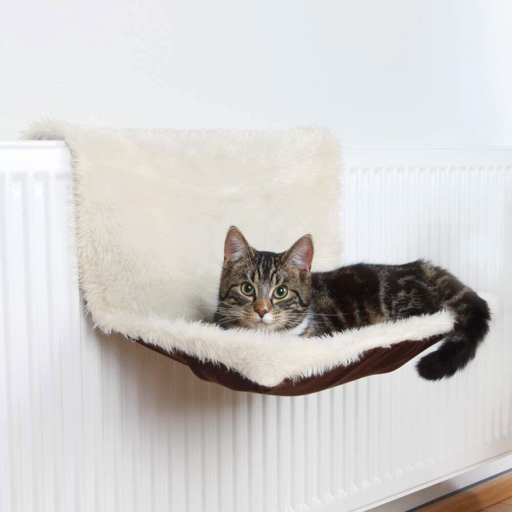 Elementsängen för katter