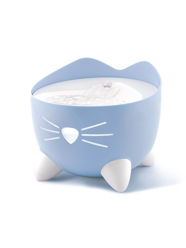 Vattenfontänen katt