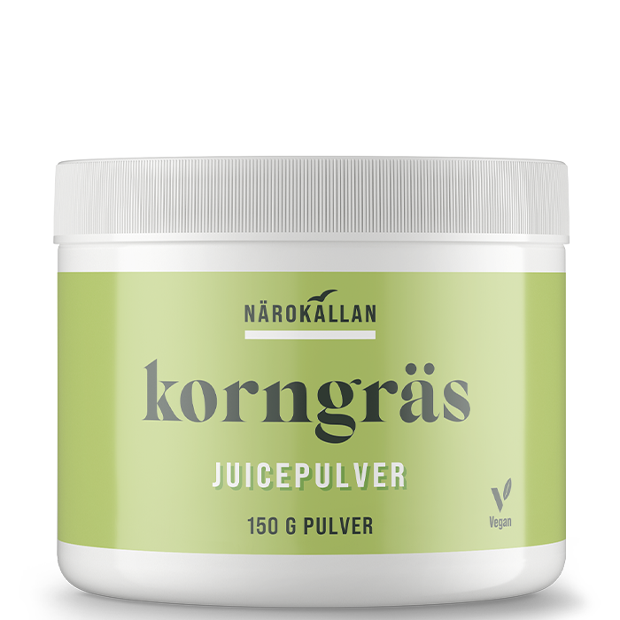 Korngräs