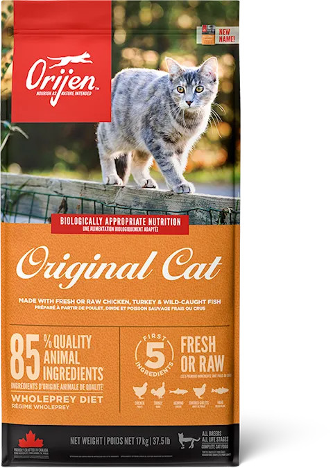 Spannmålsfria torrfodret katt