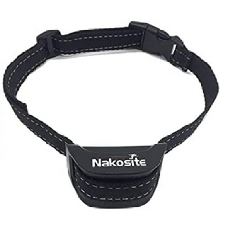 Nakosite PET2433