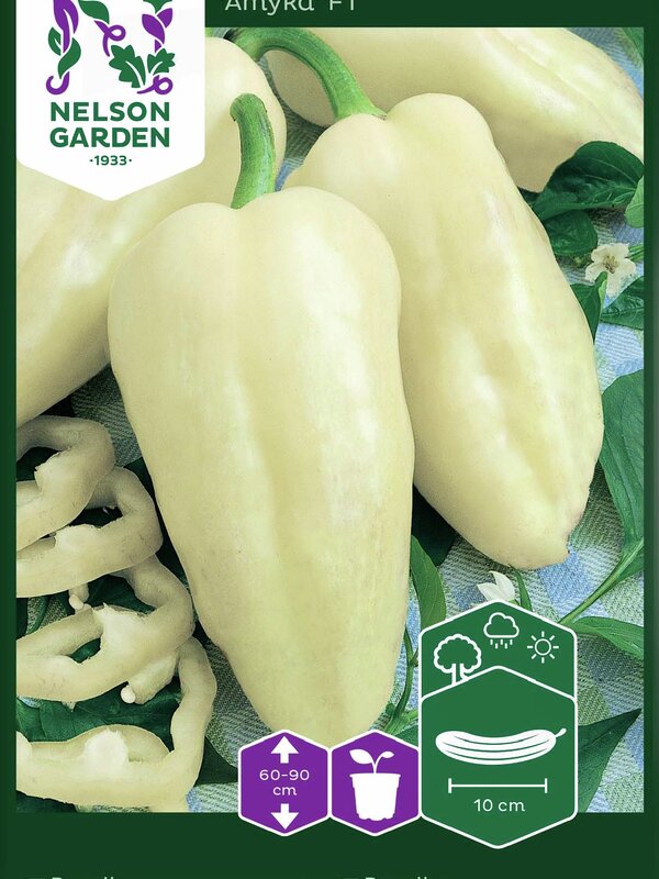 Nelson Garden Paprika Amyka F1