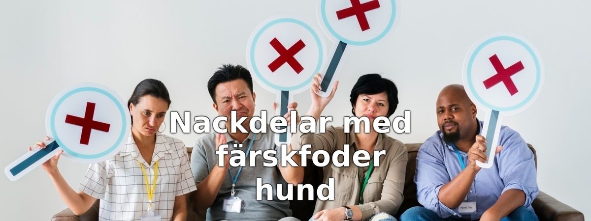 Nackdelar med färskfoder till hund