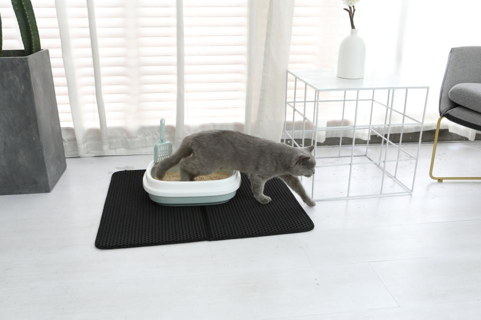 Kattlådemattan