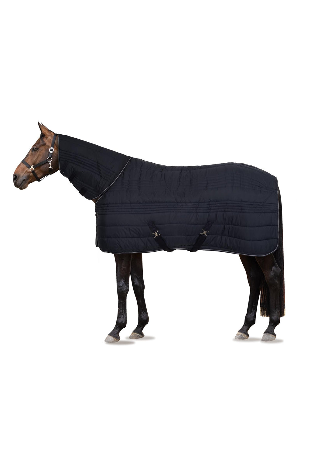Horze Kingsley Combo 300 g med hals, 145 cm
