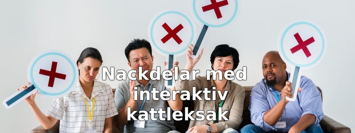 Nackdelar med interaktiva kattleksaker