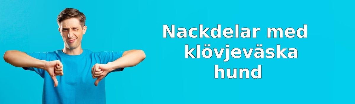 Nackdelar med klövjeväskor