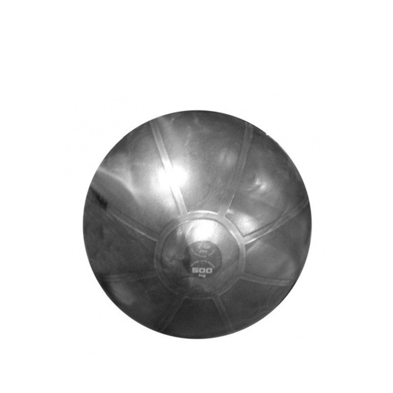 TOORX Antiburst Träningsboll 75 cm