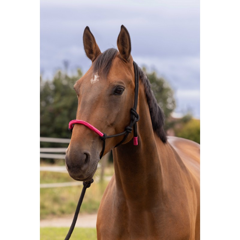 Norton Fun Repgrimma med ledrep (svart/fuchsia)