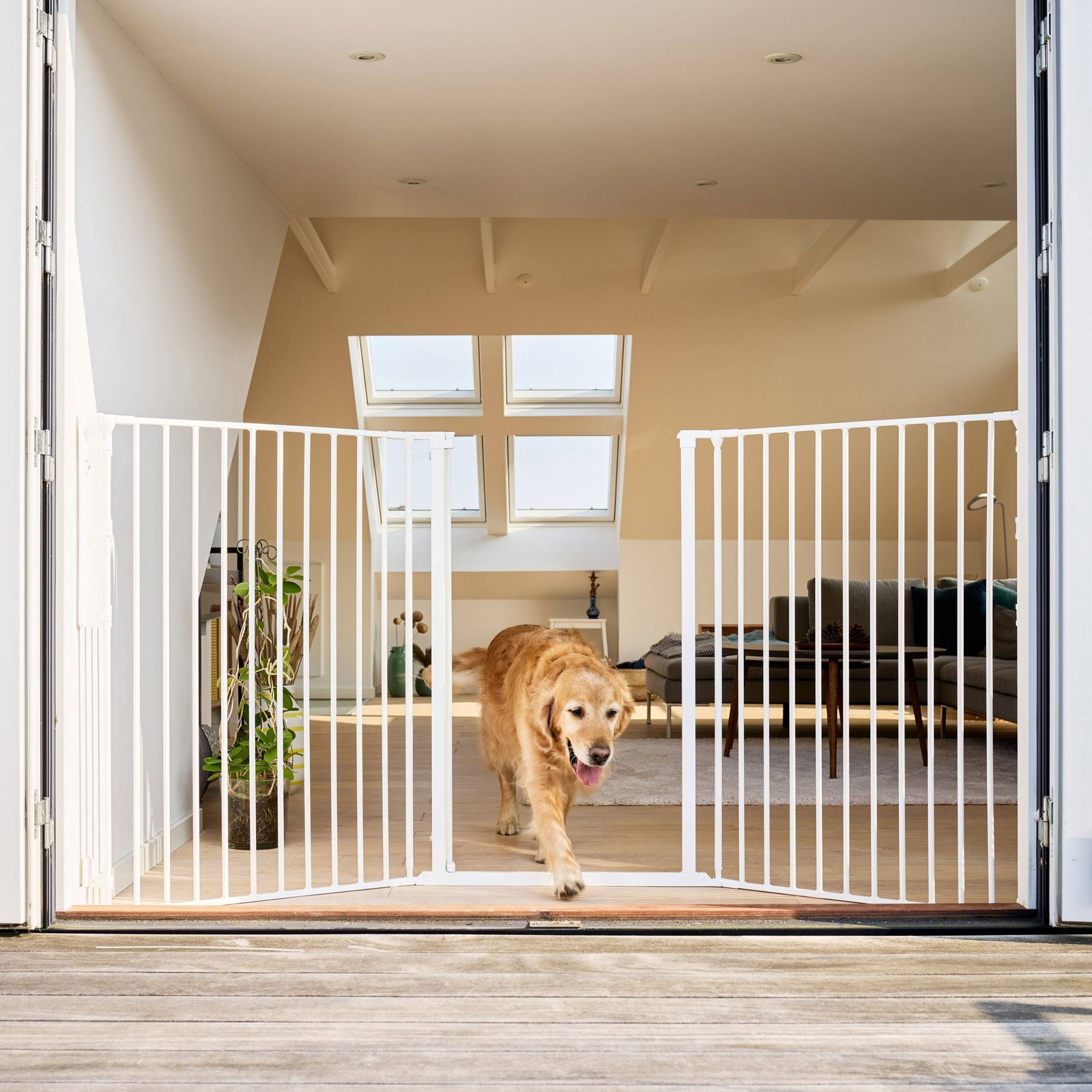 DogSpace Rocky utdragbar hundgrind 90–221 cm