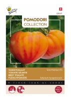 Tuinplus Gourmansun F1
