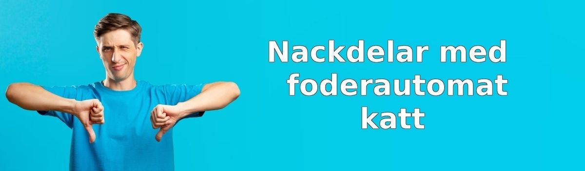 Tänk på detta innan du köper en foderautomat till katten