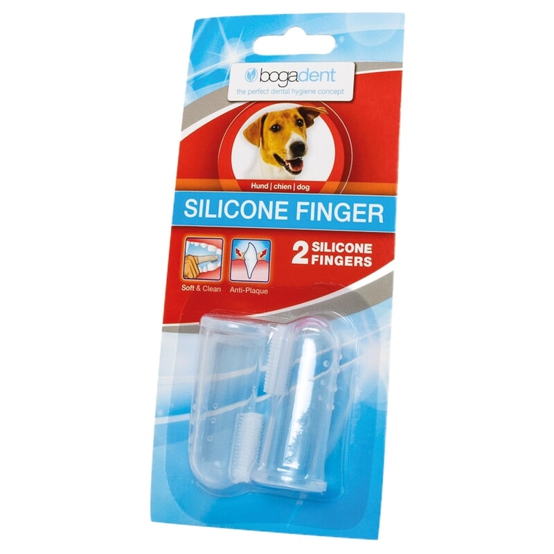 Fingertandborsten hund
