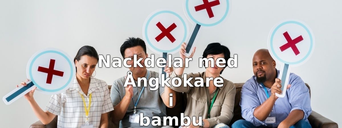 Nackdelar med ångkokare i bambu