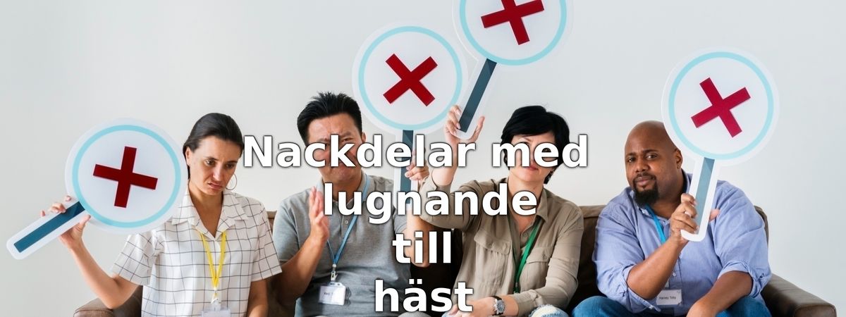 Nackdelar med lugnande till häst