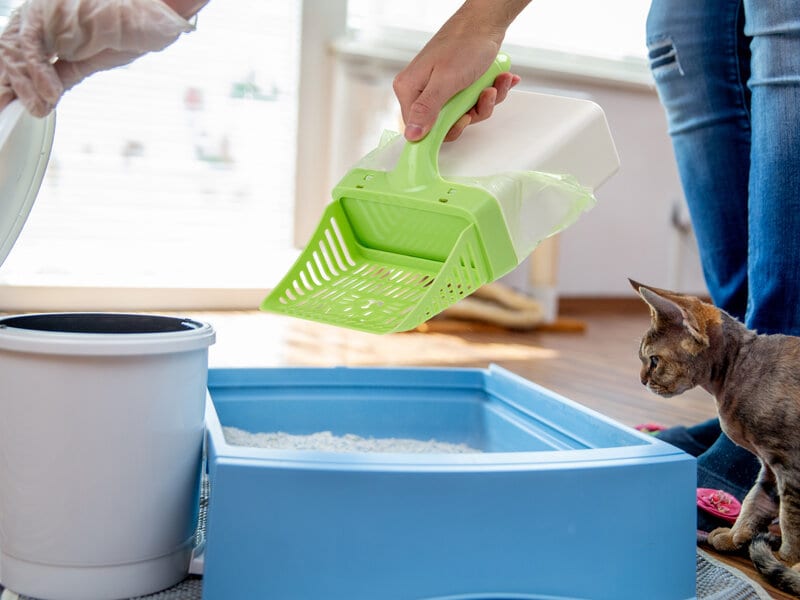 Scoop Up! Kattsandsspade med behållare