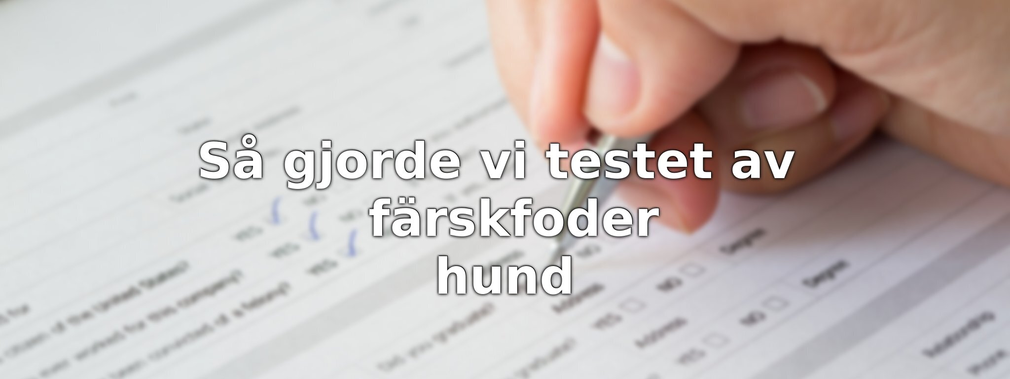 Så har vi granskat färskfoder till hund
