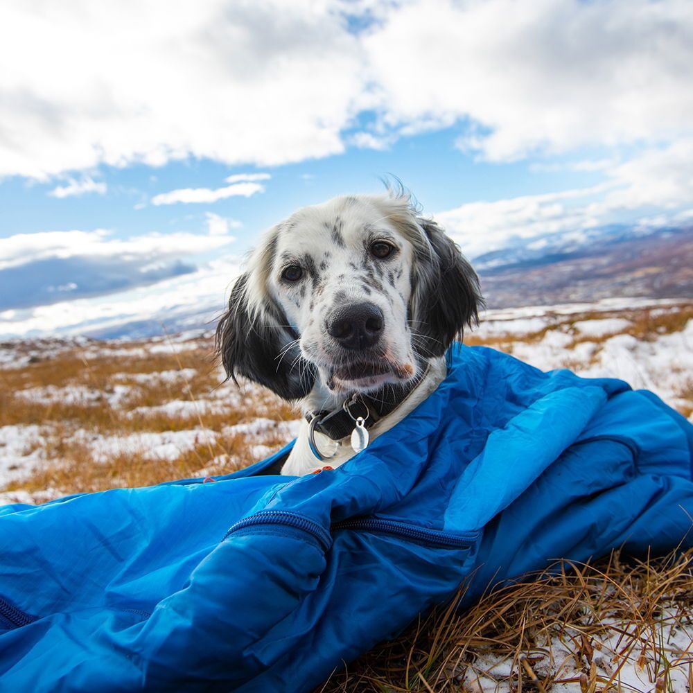 Sovsäcken för hund