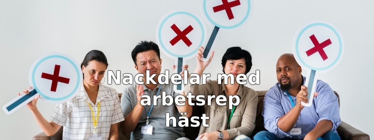 Nackdelar med arbetsrep