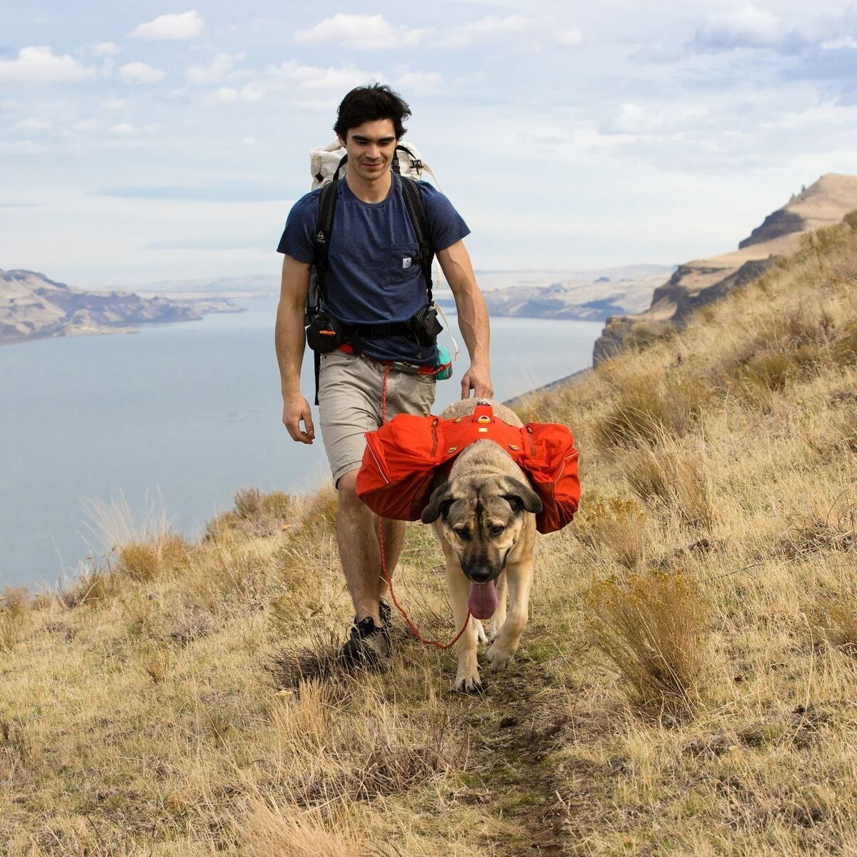 Ruffwear Palisades