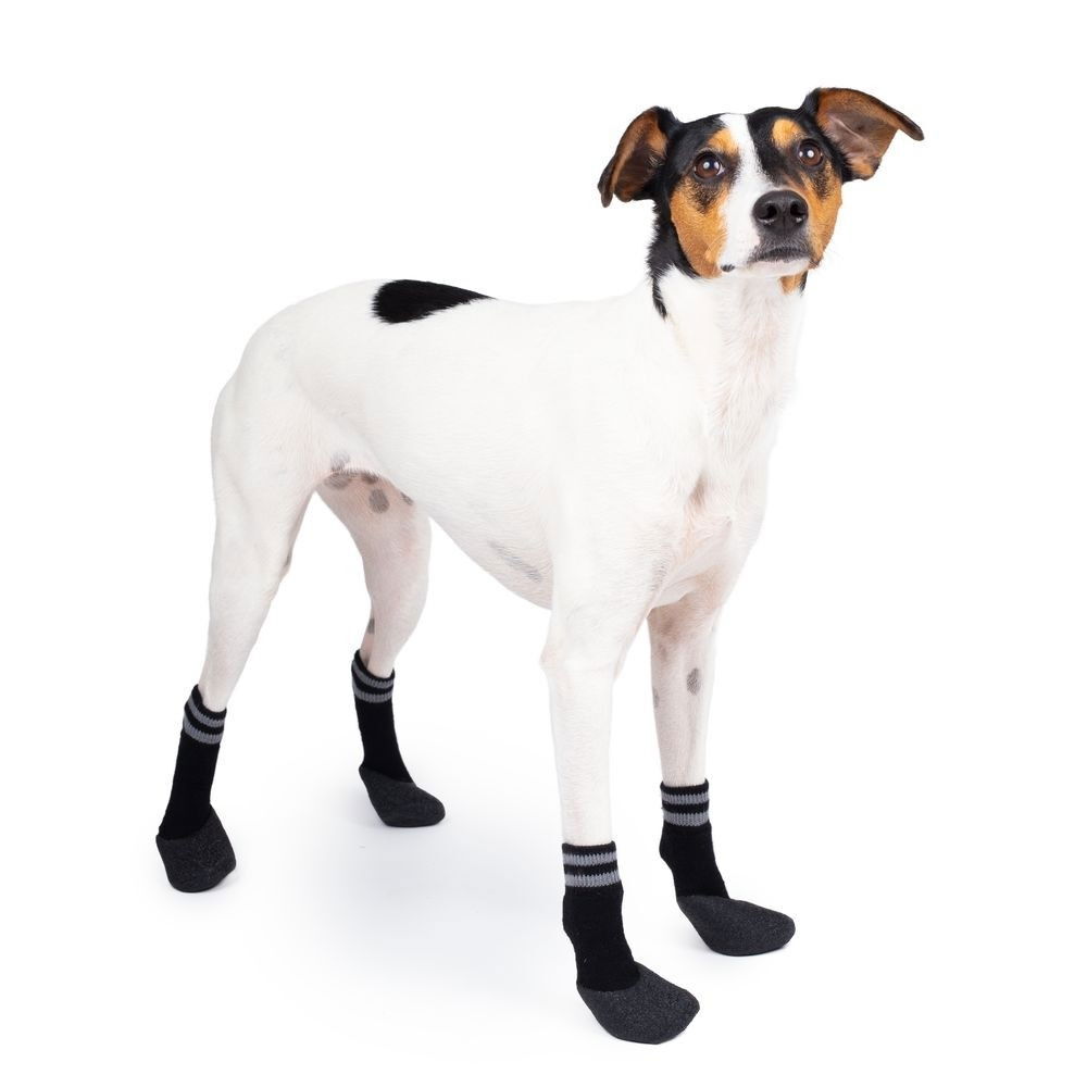 Basic Paws Hundstrumpor 4-pack