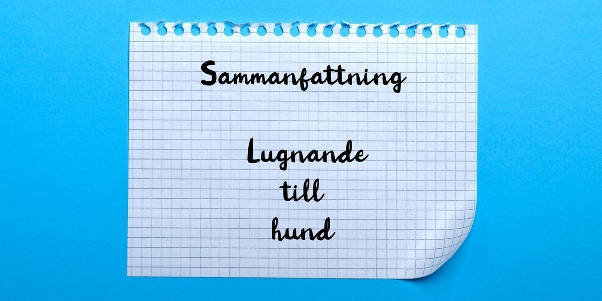 Sammanfattning