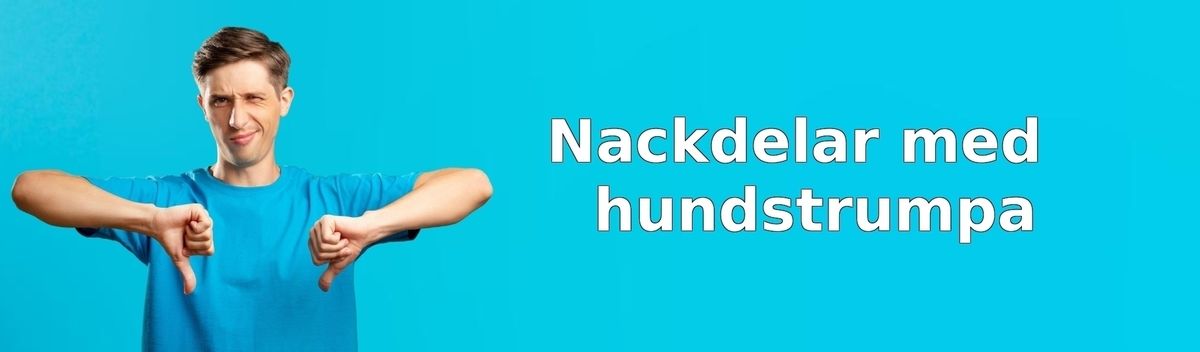 Tänk på detta innan du köper hundstrumpor