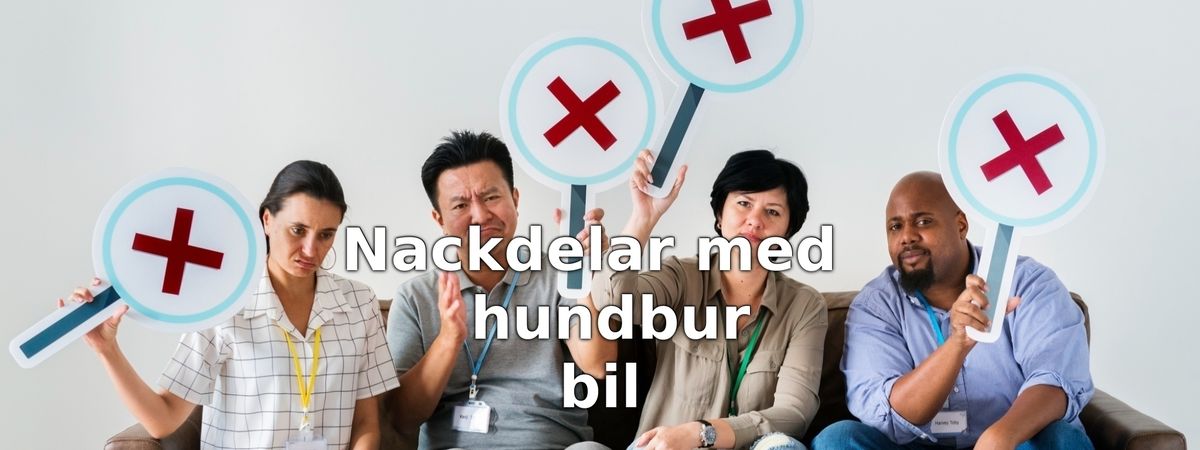 Nackdelar med hundbur till bil
