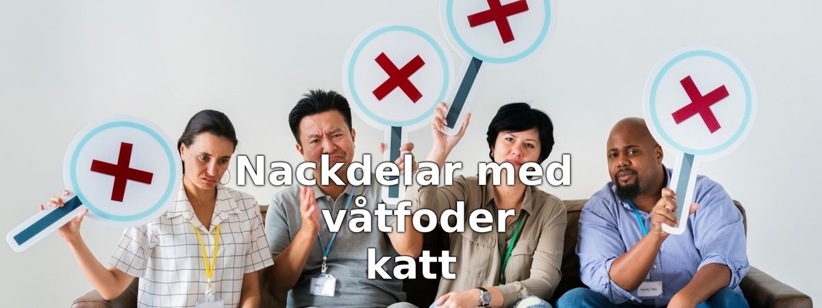 Nackdelar med våtfoder för katt