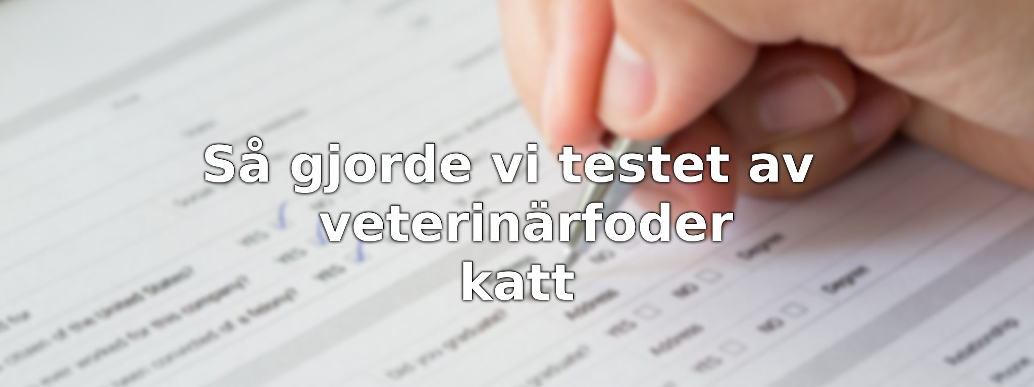 Så har vi jämfört veterinärfodren för katt