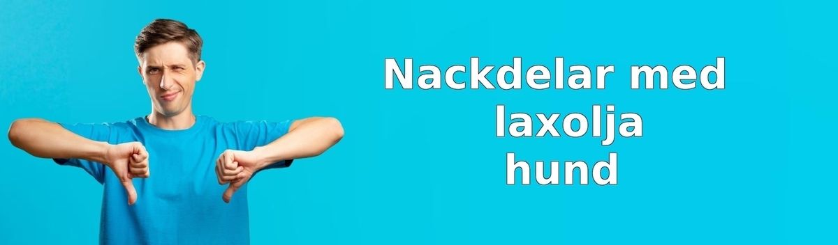 Nackdelar med laxolja till hund