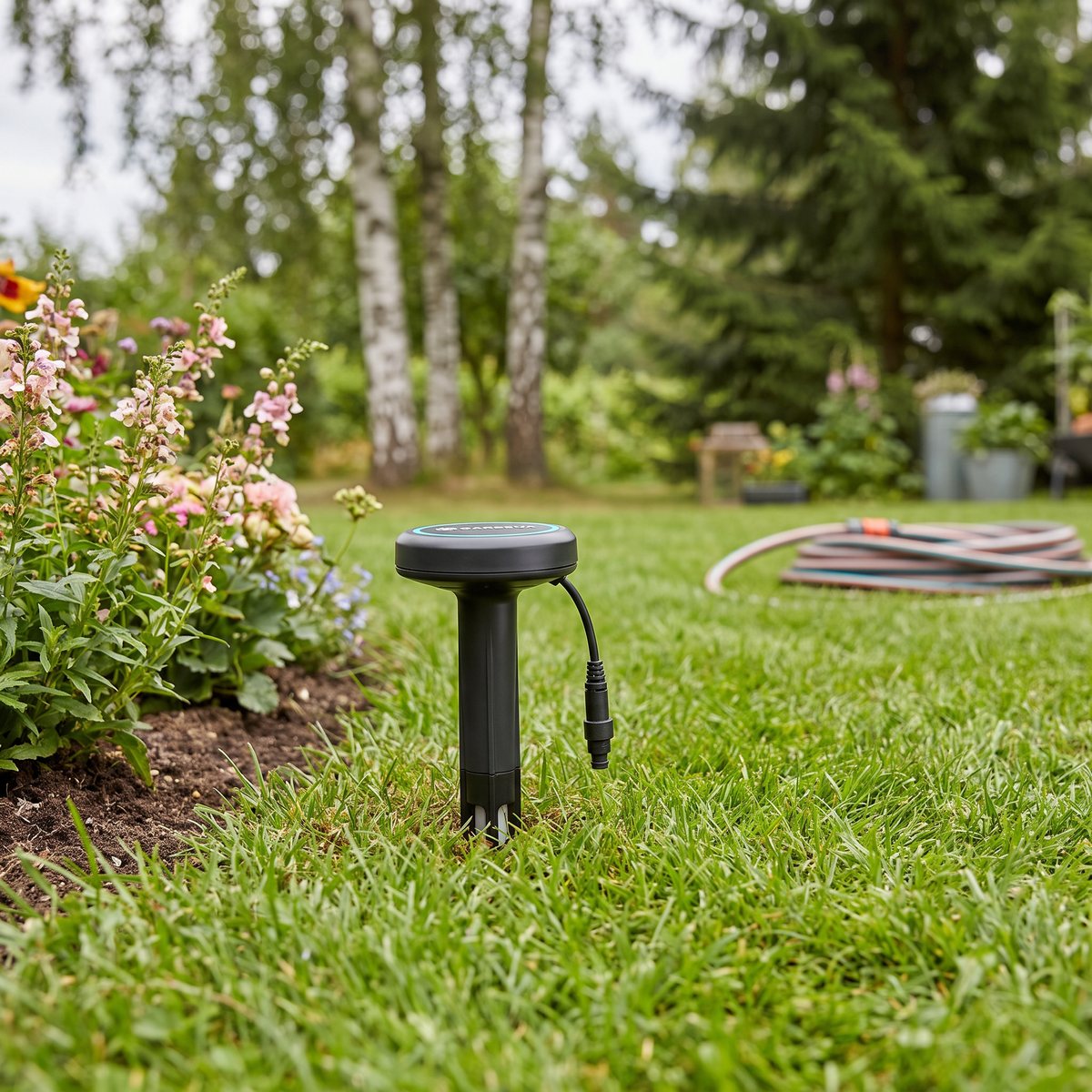 Gardena fuktsensor nedstucken i gräsmattan vid en rabatt i en svensk trädgård