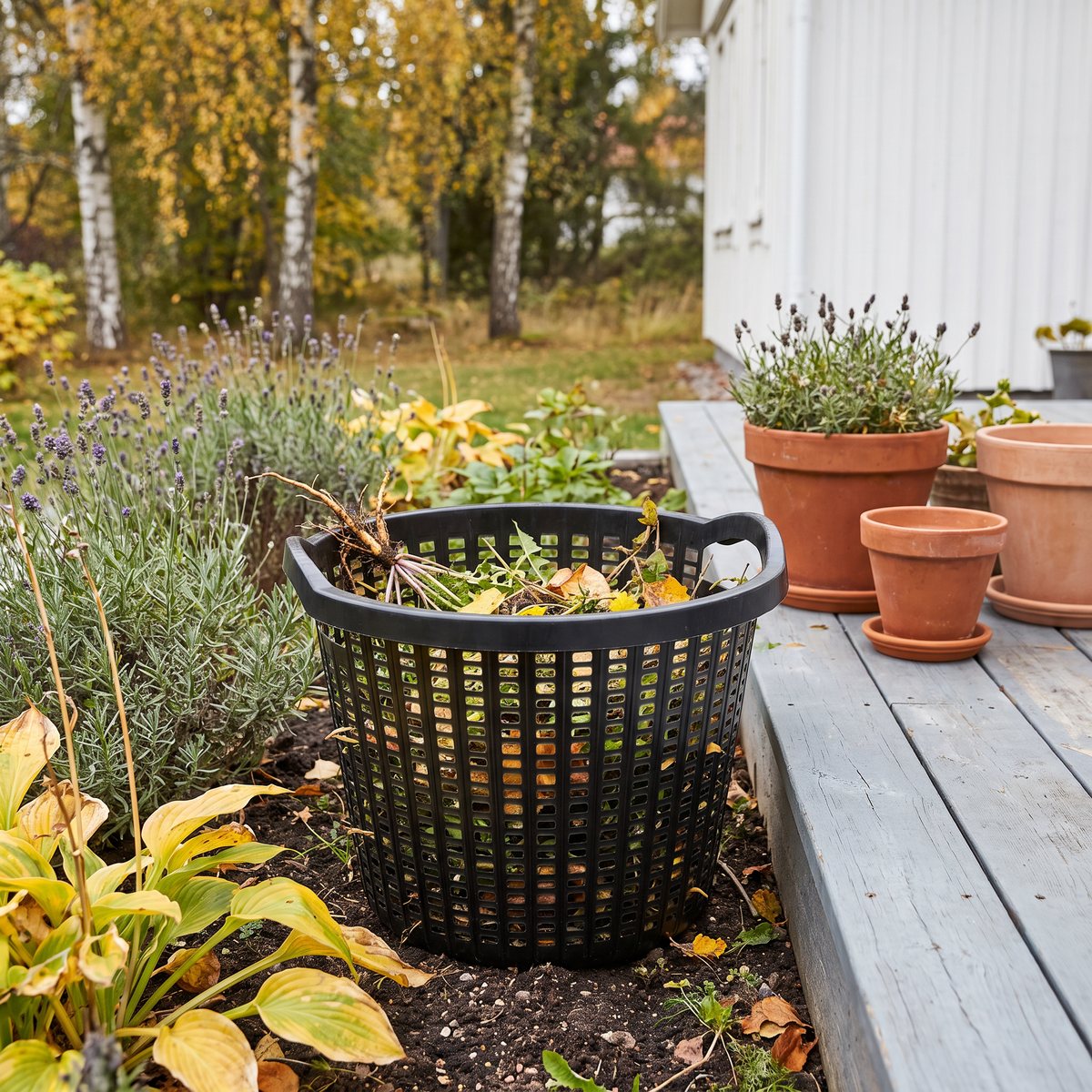 Svart lövkorg Nyby Bruk Ergo 35 i en rabatt med ogräs och vissna blad, bredvid lerkrukor på en trädäck