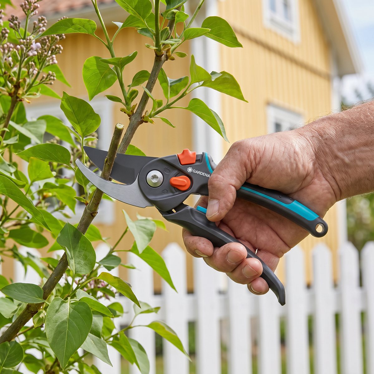 Gardena PremiumCut Pro Flex klipper en grön syrengren framför ett gult trähus med vitt staket