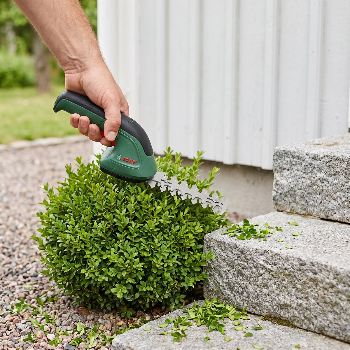 Bosch EasyShear med buskblad formar en liten buxbom vid en granittrappa och en vit husvägg