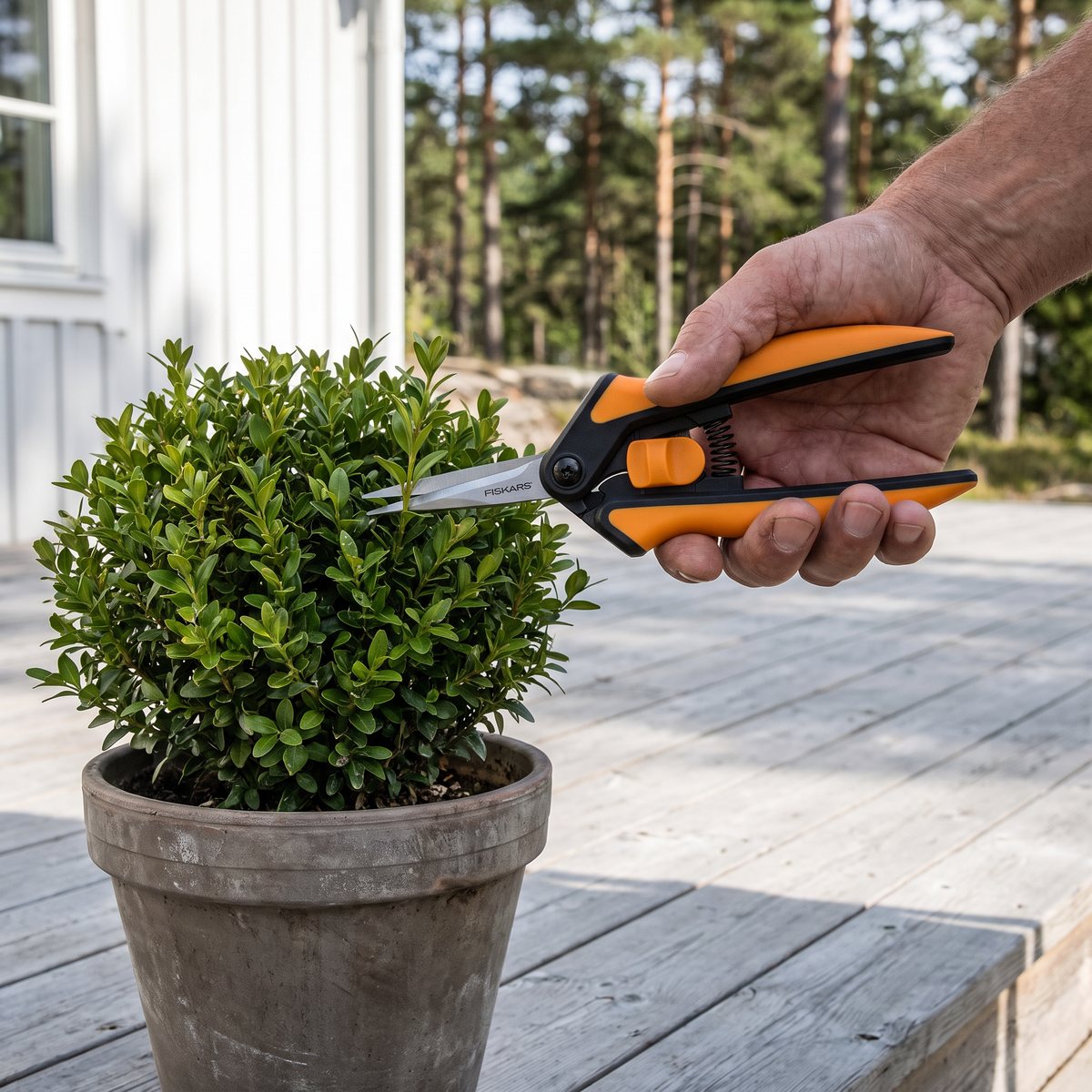 Fiskars Solid Snip SP13 Micro-Tip klipper ett enskilt skott på en buxbomskula i kruka på en trätrall