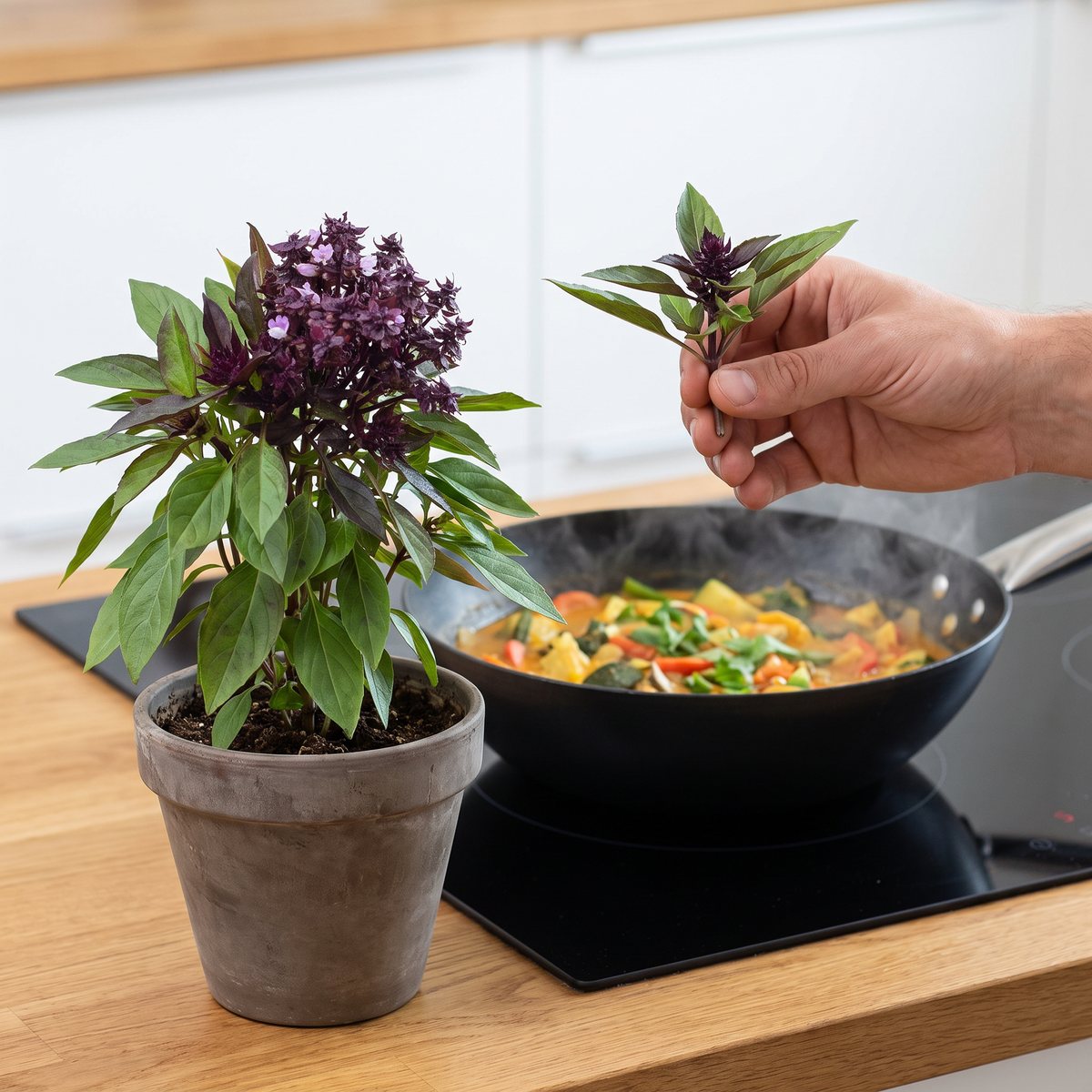 Thaibasilika Siam Queen med purpurröda blomspiror i kruka bredvid en wok med curry på en svart induktionshäll