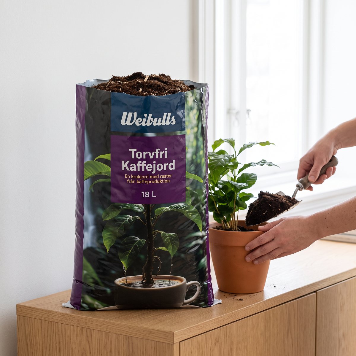 Säck med Weibulls x Löfbergs torvfria kaffejord på en skänk i ett ljust vardagsrum, där en grön krukväxt planteras i en terrakottakruka