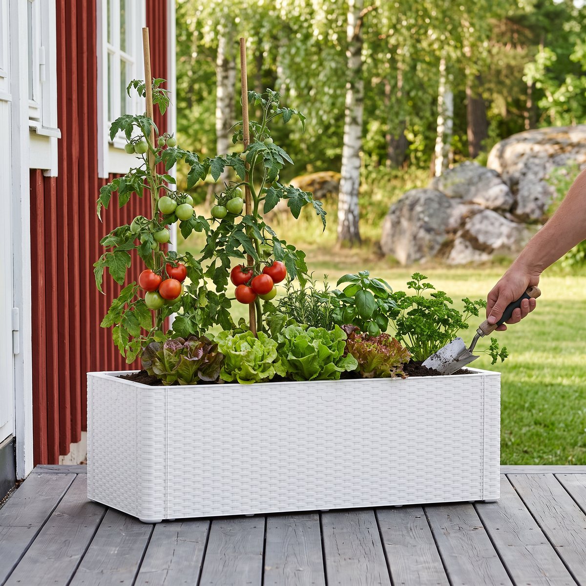 Vit vidaXL odlingslåda med tomatplantor, sallad och kryddor på en trädäcksterrass vid ett rött svenskt trähus