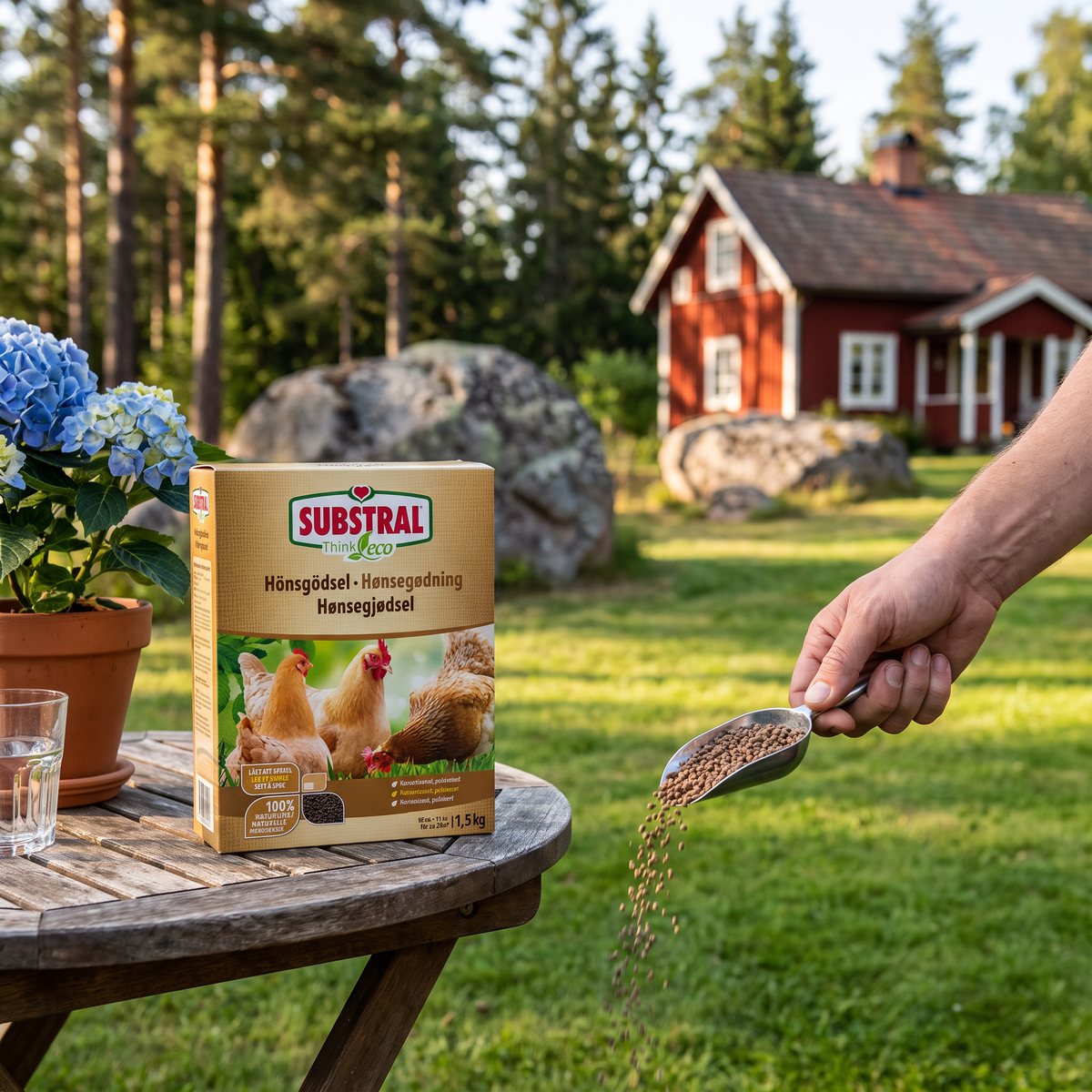 Substral Hönsgödsel i en kartong på ett trädgårdsbord, där pellets strös ut på gräset i en svensk trädgård med rött torp