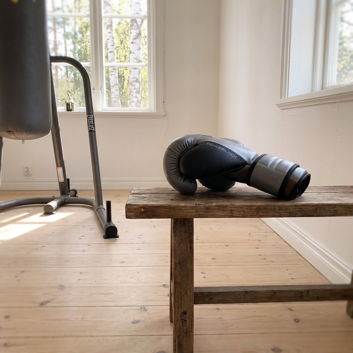 Grå Everlast Powerlock 2R-boxningshandskar på en träbänk i ett ljust hemmagym med björkar utanför fönstret